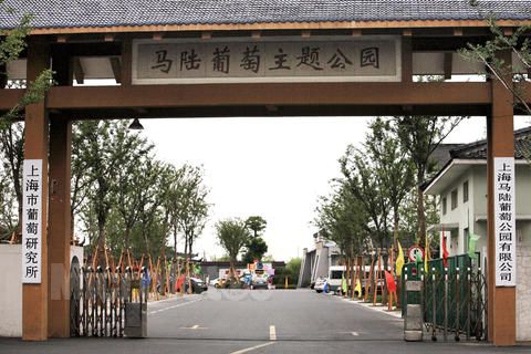 马陆葡萄主题公园位于上海市嘉定区马陆镇,是个特别适合亲子游的好